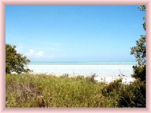 beach picture of the Holbox island