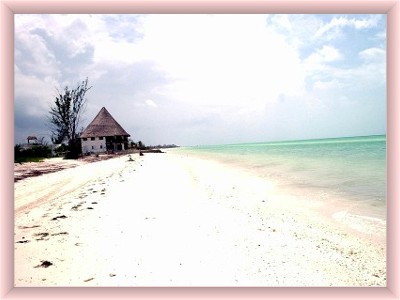 Isla Holbox beach