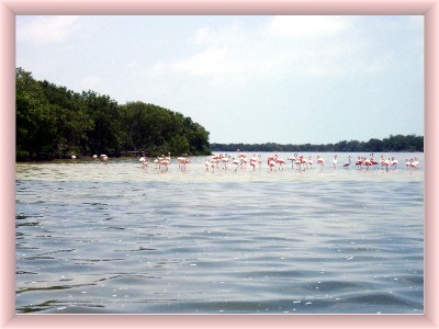 Isla Holbox 